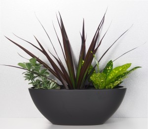 Antracytowa osłonka łódka 430 szerokość 42cm Scheurich Anthrazit ciemnoszara misa