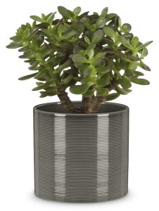 Ciemnoszara osłonka na doniczkę 828 walec 12 Scheurich Glass Grey