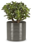 Ciemnoszara osłonka na doniczkę 828 walec 16 Scheurich Glass Grey