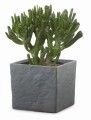 Osłonka ceramiczna kostka kwadratowa scheurich.jpg