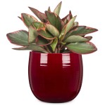 Osłonka na doniczkę 765 ciemna czerwień 18 Scheurich Dark Red