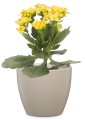 Mała osłonka ceramiczna Scheurich 920 sklep markowedonice.jpg