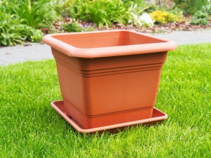 Kwadratowa doniczka Scheurich Nora 40 Terracotta terakota