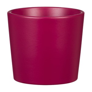 Mini osłonka na doniczkę kaktusy i sukulenty Burgundy 870 Scheurich 9 burgundowa