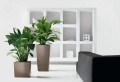 luksusowe-donice-z-nawadnianiem-lechuza-cube-i-cubico-premium-taupe.jpg