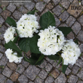sztuczne-hortensje-hydrangea-biale-w-doniczkach.png