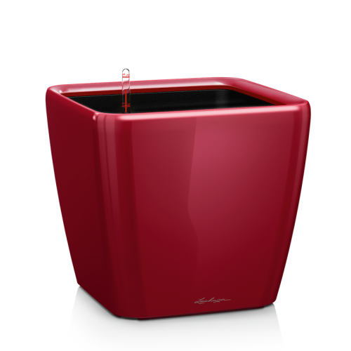 duza-czerwona-donica-z-polyskiem-lakierowana-lechuza-quadro-premium-ls-scarlet-red-high-gloss-50.png