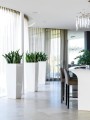 wysokie-nowoczesne-donice-do-salonu-biale-lechuza-cubico-alto-Sansevieria-fernwood.jpg