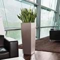 szarobrazowa-wysoka-waska-donica-kolumnowa-z-nawadnianiem-lechuza-cubico-alto-taupe-Sansevieria-laurentii.jpg