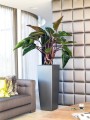 antracytowe-wysokie-waskie-donice-nowoczesne-z-nawadnianiem-lechuza-cubico-alto-Philodendron-Red-Beauty.jpg