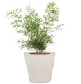 bezowe-oslonki-na-doniczki-plastikowe-scheurich-328-pure-sesame.jpg
