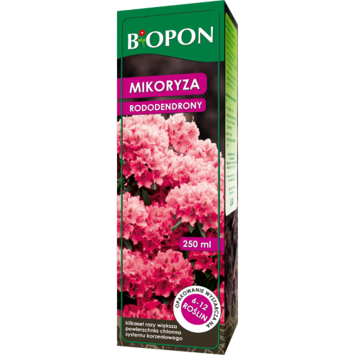 mikoryza-do-azalii-rozanecznikow-rododendronow-wrzosow-borowek-biopon.png