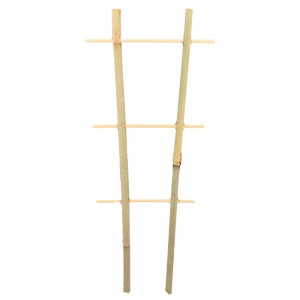 Drabinka bambusowa • podpora do roślin / pnączy  • podwójna  • 35 cm