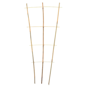 Drabinka bambusowa • podpora do roślin / pnączy  • potrójna  • 75 cm 