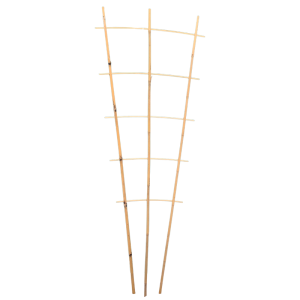 Drabinka bambusowa • podpora do roślin / pnączy  • potrójna  • 85 cm 