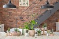urban-jungle-dekoracja-wnetrz-oslonki-na-doniczki-scheurich-cortaeza-cactus-garden.jpg