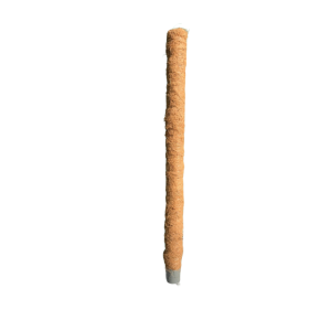 Palik kokosowy • podpora do roślin / tyczka • wysokość 160 cm • średnica 32 mm