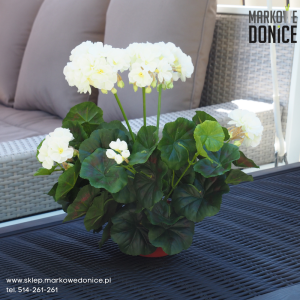07 Biała pelargonia w doniczce >>> sztuczna roślina doniczkowa jak żywa