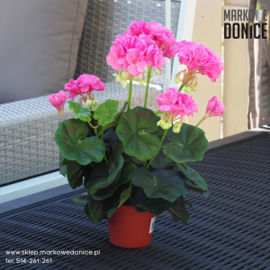 03 Różowa fuksjowa pelargonia w doniczce >>> sztuczna roślina doniczkowa jak żywa