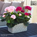 rozowe-purpurowe-pelargonie-sztuczne-w-podluznej-betonowej-donicy.png