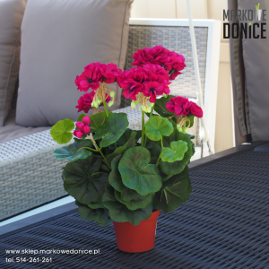 06 Purpurowa pelargonia w doniczce >>> sztuczna roślina doniczkowa jak żywa
