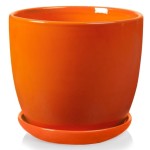 Pomarańczowa doniczka ceramiczna z podstawką Polnix 13 cm Amsterdam