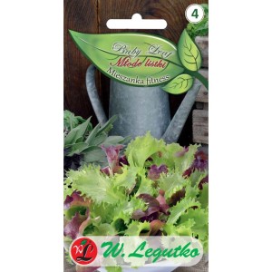 Nasiona na młode listki  >>>  mieszanka fitness >>> baby leaf Legutko