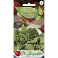 nasiona-na-baby-leaf-mieszanka-wloska-legutko.jpg