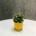 zolta-doniczka-z-podstawkiem-ceramiczna.jpg