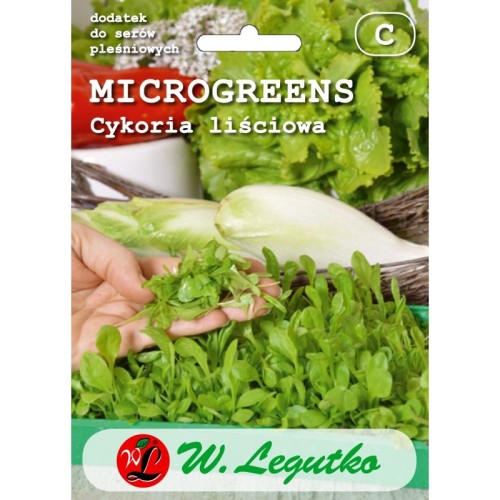 cykoria-lisciowa-microgreens-nasiona-legutko.jpg