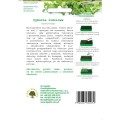 cykoria-lisciowa-mikrolistki-nasiona-legutko.jpg