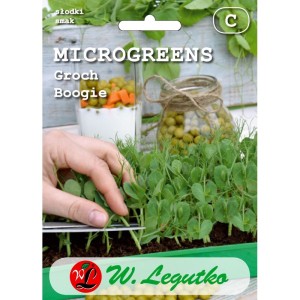 Microgreens groch siewny łuskowy Boogie - Legutko >>> nasiona na mikrolistki 20g