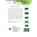 kapusta-glowiasta-czerwona-microgreens-nasiona-legutko.jpg