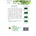 rzodkiewka-microgreens-nasiona-legutko.jpg