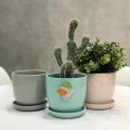 pudrowy-rozowy-kolor-doniczka-z-podstawkiem-markowedonice-styl.jpg