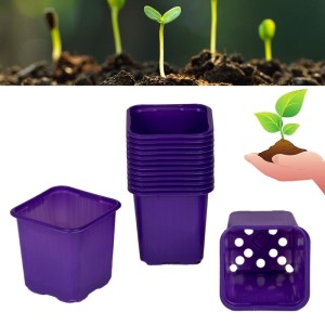 Doniczki produkcyjne do rozsady 8x8x8cm fioletowe kwadratowe Vefi 20 szt. / 8005106
