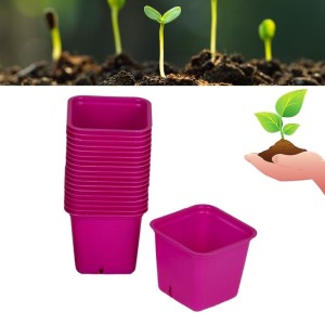 Doniczki produkcyjne do rozsady 6x6x6cm różowe kwadratowe Vefi 30 szt. / 800566