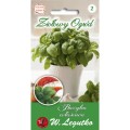 bazylia-wlasciwaocimum-basilicumzielone100g.jpg