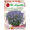 lawenda-lekarska-munstead-strain.jpg