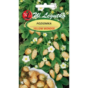 Poziomka żółta Yellow  Wonder >>> nasiona Legutko 