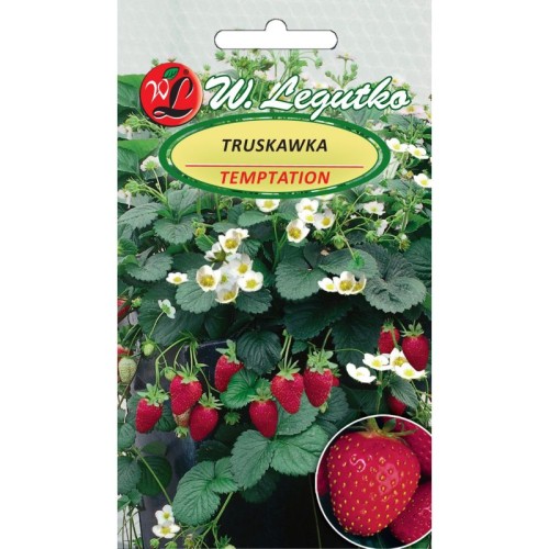 truskawka-tempation-do-pojemnikow-.jpg