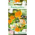 kwiaty-jadalne-nagietek-lekarski.jpg