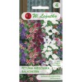 petunia-o-pedach-zwisajacych-mieszanka-balkonowa.jpg