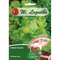 salata-glowiasta-krucha-lodowa-krolowa-lata-tasma-7m.jpg