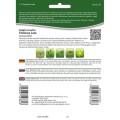 salata-glowiasta-krucha-lodowa-krolowa-lata-tasma-7m-1.jpg