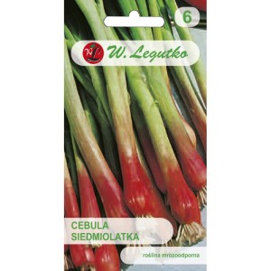 Cebula siedmiolatka Red Toga czerwona >>> nasiona Legutko 2g