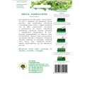 cebula-siedmiolatka-1.jpg