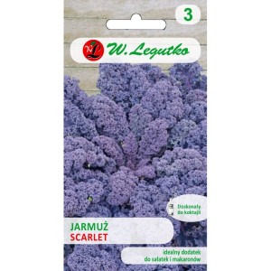 Jarmuż Scarlet purpurowy kędzierzawy >>> nasiona Legutko 1g