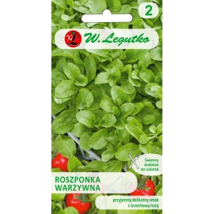 Roszponka warzywna Verte de Cambrai >>> nasiona Legutko 2g 