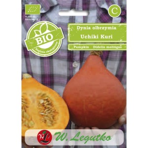 Dynia olbrzymia Uchiki Kuri typ Hokkaido >>> nasiona BIO Legutko 2g